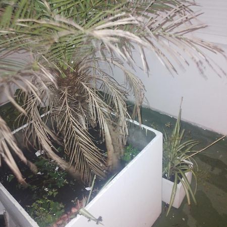 Dodo Suites Mar del Plata Dış mekan fotoğraf
